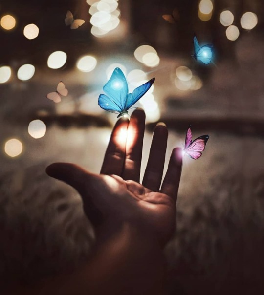 نورا الأرواح جنود مجندة ما تعارف منها ائتلف وما تنافر