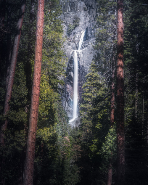 Nature Never Goes Out Of Style.