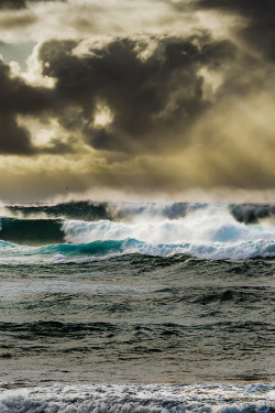 plasmatics-life:  The open sea | (by Darren Shimabuku)