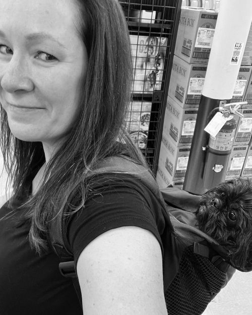 <p>On Wednesday we do the grocery shopping for #nashvilleflatpickcamp </p>

<p>#nashvilleacousticcamps #shihtzu #shihtzusofinstagram #lesterpawfus @k9sportsack  (at Kroger)<br/>
<a href="https://www.instagram.com/p/Ca5m9paLFex/?utm_medium=tumblr">https://www.instagram.com/p/Ca5m9paLFex/?utm_medium=tumblr</a></p>