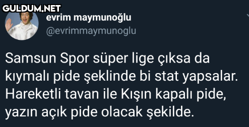 evrim maymunoğlu...