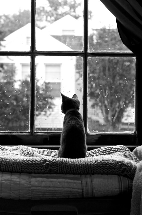 http://r4posa&ndash;13.tumblr.com/