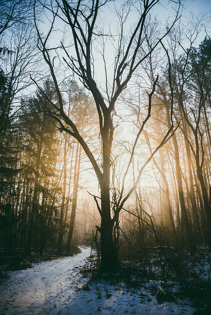 brutalgeneration:  Morning Glow by .monodrift on Flickr.