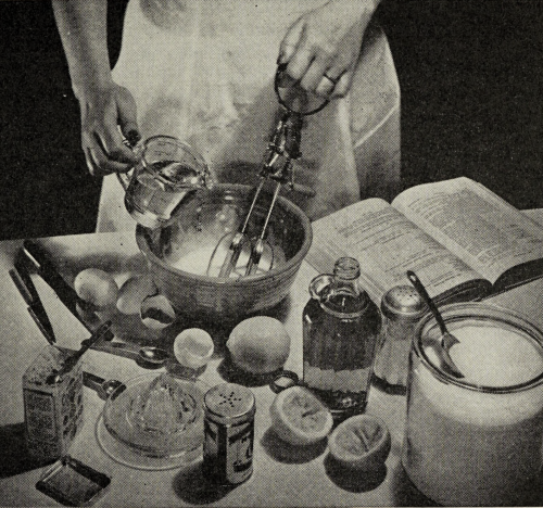 nemfrog:  Making mayonaise. Foundations