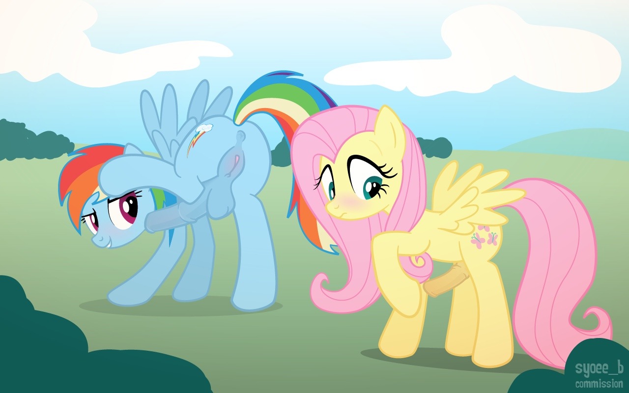 Rainbow and fluttershy by request