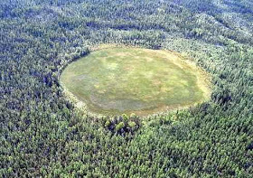 weepingdildo:  bundyspooks:  Hoia Baciu Forest is thought to be the most haunted forest in the world. Located in Romania, hundreds of people have gone missing, UFOs have been seen and phantom laughter is heard. At the center of the forest, there is a