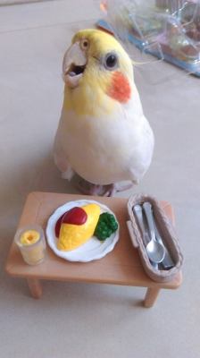 bird-bum:  7can:  Photo credit: 維翎  THIS IS NOT WHAT I ORDERED!?!??!?!?!!???????