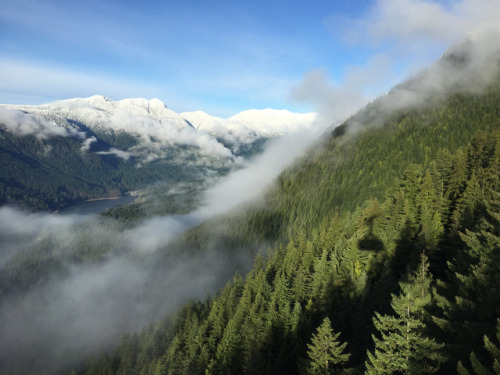 Zooming down the Mountain by Martin