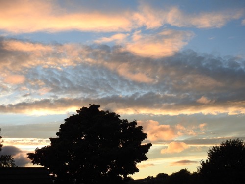 Sunset Taken With A Nikon Coolpix P900.