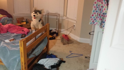 I asked Reaction Junkie to make me clean my apartment because, as you can see, it&rsquo;s a godd