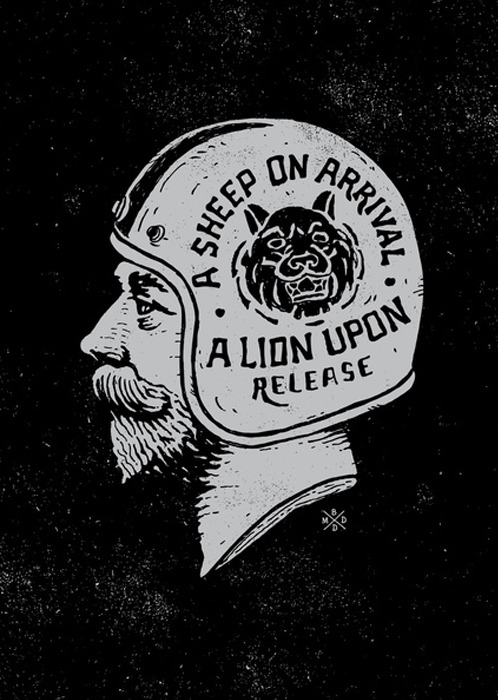 bangarangblog:  a lion upon release