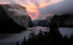 quiet-nymph:Yosemite  © All rights reserved