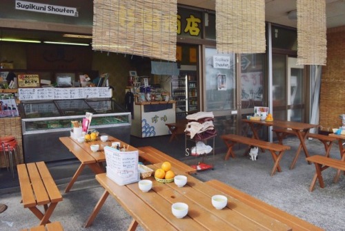 tokyogems: had grilled mackerel and seaweed miso soup for breakfast at outside at sugikuni shoten. 朝
