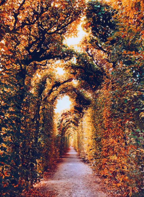 photography-cnl:Photographer Kristina Makeeva Captures What Autumn Looks Like Around Europe Keep rea