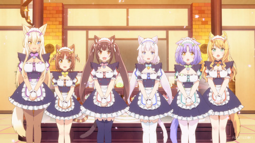 NekoparaStreaming on Funimation.Cat girls in maid dresses who have passed whatever difficult test ca