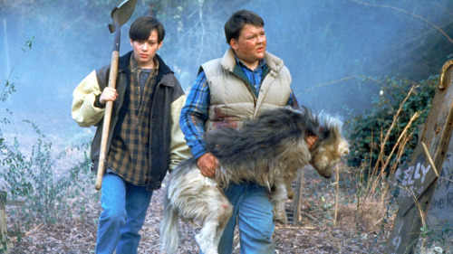 brundleflyforawhiteguy: Pet Sematary Two (1992)