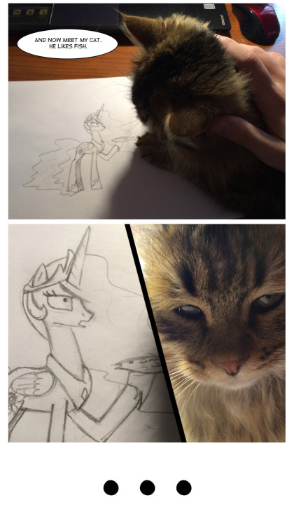 fluttershyponders:  davodinfo:  askmushroom:  Воскресный IRL комикс. Celestia vs the kot.  oh sun goddess this made my day  *polite snicker*  OMG this is terriffic XD