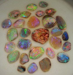 pinfire:Opalized shellsSource: pacificopals.com