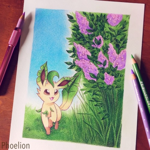 phoelion:Leafeon &amp; Lilacs