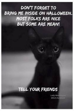 rennemichaels:Black Cats are particularly