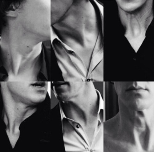 mm-jay - cumberbatchaddicted - My obsession. I’m Bensexual.For...