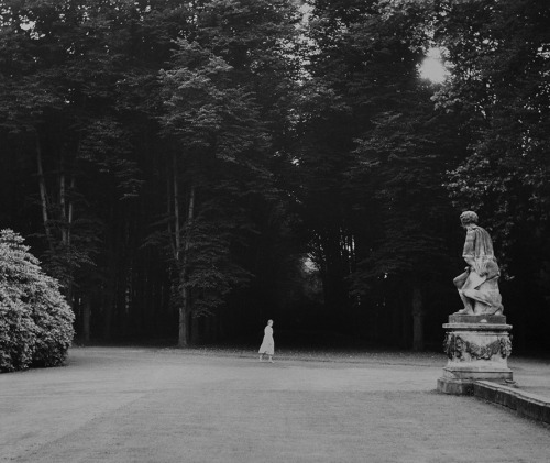 hauntedgardenbook:Edwin Smith (English, 1912-1971). The Garden of Schloss Benrath, Near Dusseldorf, Germany, 1961. Silve