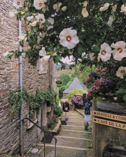 Floralls:charming Streets Of French Village Rochefort-En-Terre By   Natalie_Wien