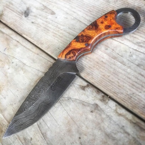 lionsdenblades: Fixed blade Friday! #knifelife #knifestyle #knifestagram #knivesofig #knifeporn #cus