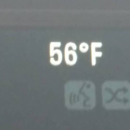 Mother nature has a seriously sick sense of humor. #mothernature #spring #warmweatherinjanuary #wtf
