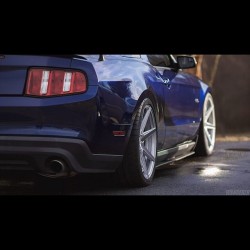 musclefords:  @Igfords #Igfords #americanmuscle #svt #ford #mustang #love #cars #tbt #hot #gt500 tag -&gt; #american_muscle_mustangs perfect stance … Owner;????