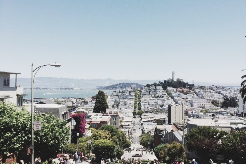 jeffreeeyte: San Francisco landmarks, 2014