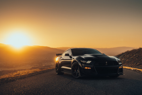 mustang gt500