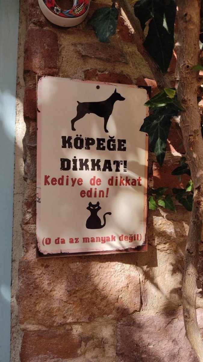 HSJSJSJSKSHSHS    KÖPEĞE...