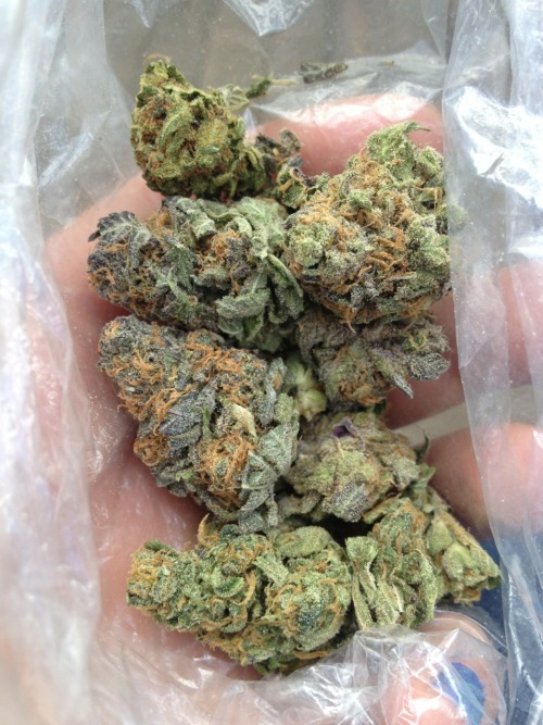 high on life
