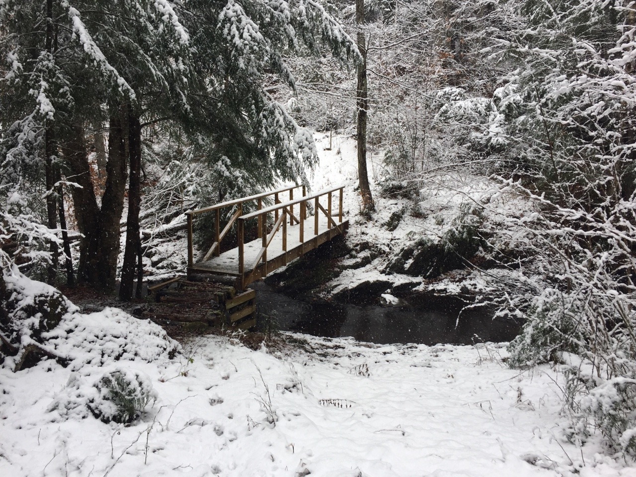 minced–oath: 60° yesterday, 3&quot; snow today 🐇❄️