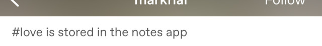 kaity–did:ruffboijuliaburnsides:kaity–did:kaity–did:kaity–did:Today I learned that my husband keeps a notes app on his phone that has a list of all of my favorite things including but not limited to flower, ice cream, and cocktail