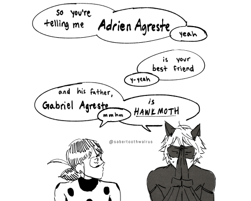 I Uhhhh I Made Another Continuation....