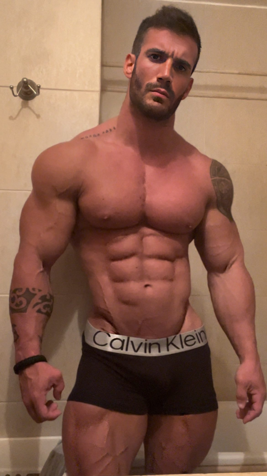 awesomecutmuscle: all alpha