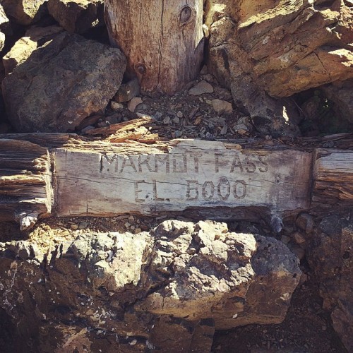 Marmot Pass | Olympics #washington #hiking #olympics #mcgovern