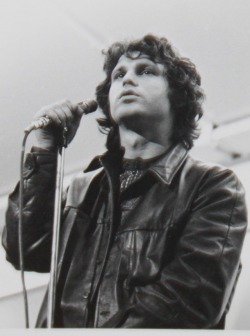 home-of-the-trash:  Rest In Peace: James Douglas “Jim”  Morrison| Born: December 8, 1943| Died: July 3, 1971| Lead singer for The Doors| Long live the lizard king|