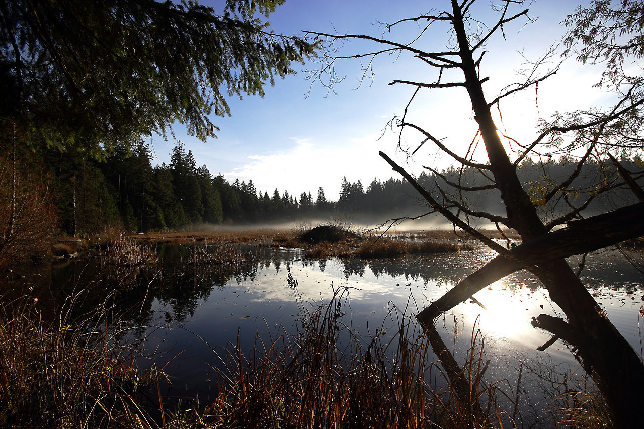 90377:  DECEMBER AT BEAVER LAKE by Martin Rose   