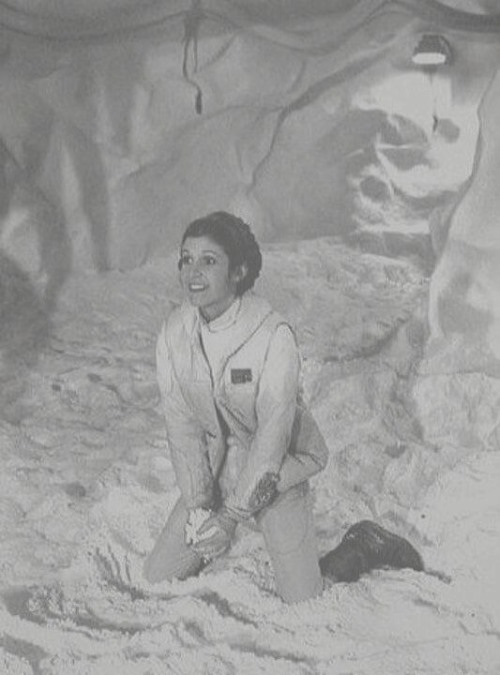 retrostarwarsstrikesback: Winter is here now but we are not the only ones who like to have fun in th