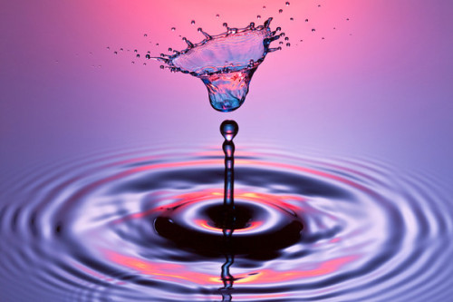 ruineshumaines: The Art of Splash by Corrie White. My passion is water drop photography. Th