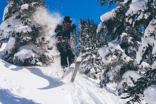 Only a few friends on a Powder day, Whistler, BC