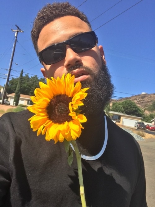 daraldo: Sunkissed