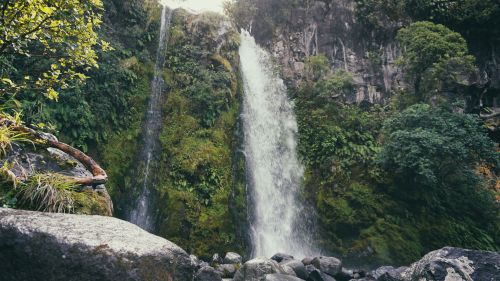 taranaki