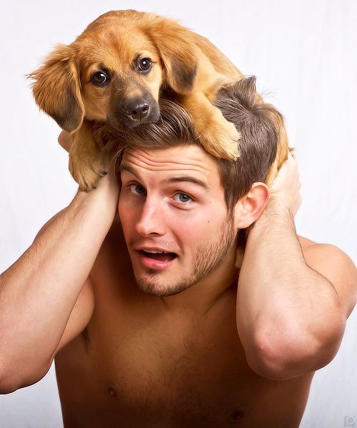 jacktwister:  DOG DAYS OF SUMMER - Part 4 Because they bring us joy. Because they
