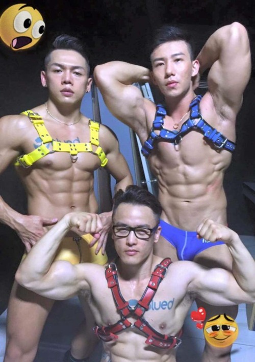 Asians, Speedos, Gear & Latinos