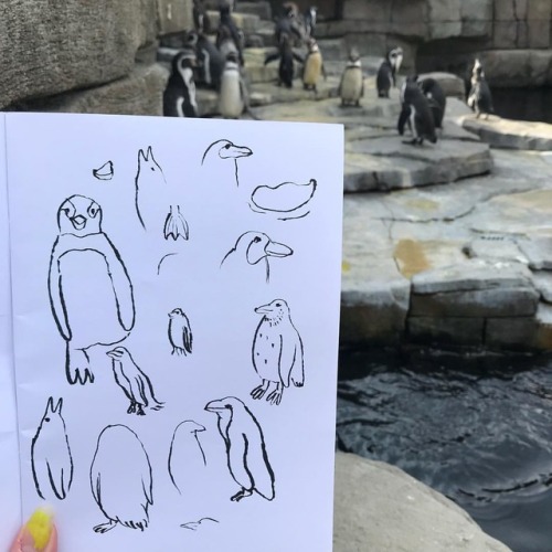 Some penguin sketches