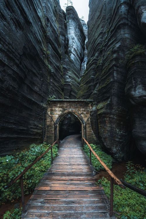 j-k-i-ng:“Entrance into another world“ by | Tom Juenemannthis looks like straight out of the Witcher